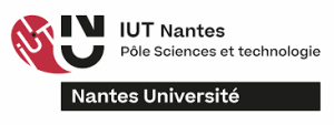 UNIVERSITE DE NANTES